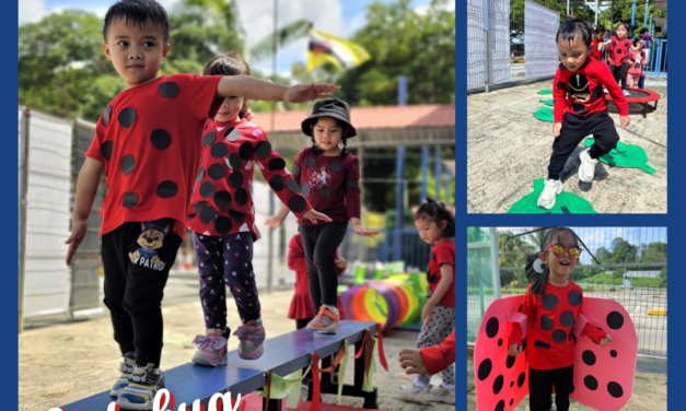 Lady Bug